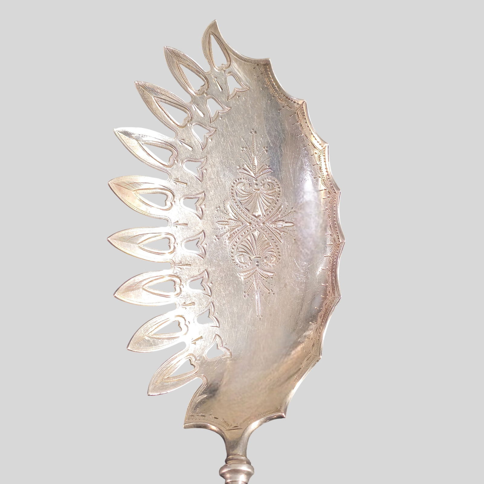 19th Century Gorham "Lotus" Sterling Silver Macaroni Server - 4