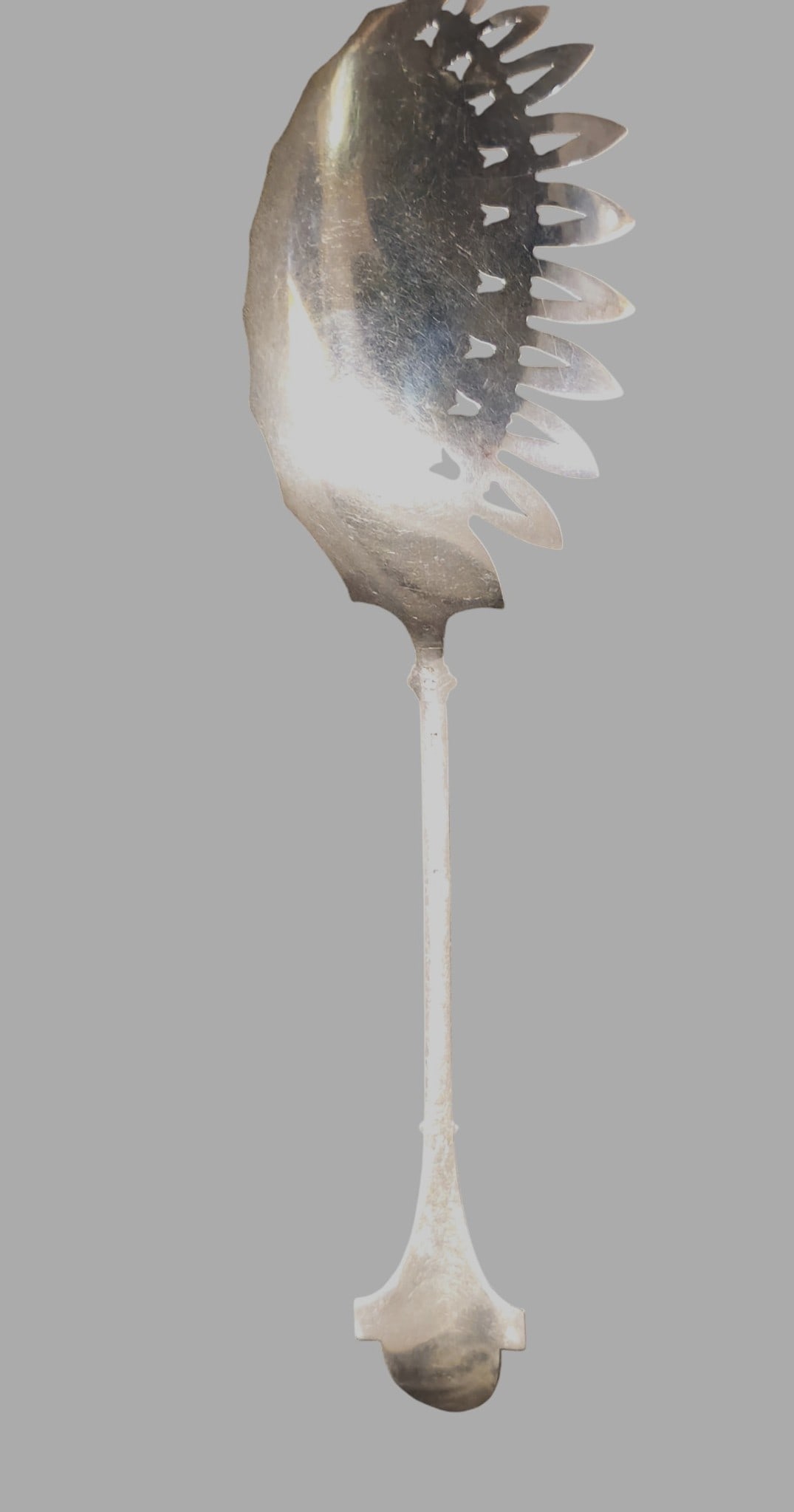 19th Century Gorham "Lotus" Sterling Silver Macaroni Server - 9