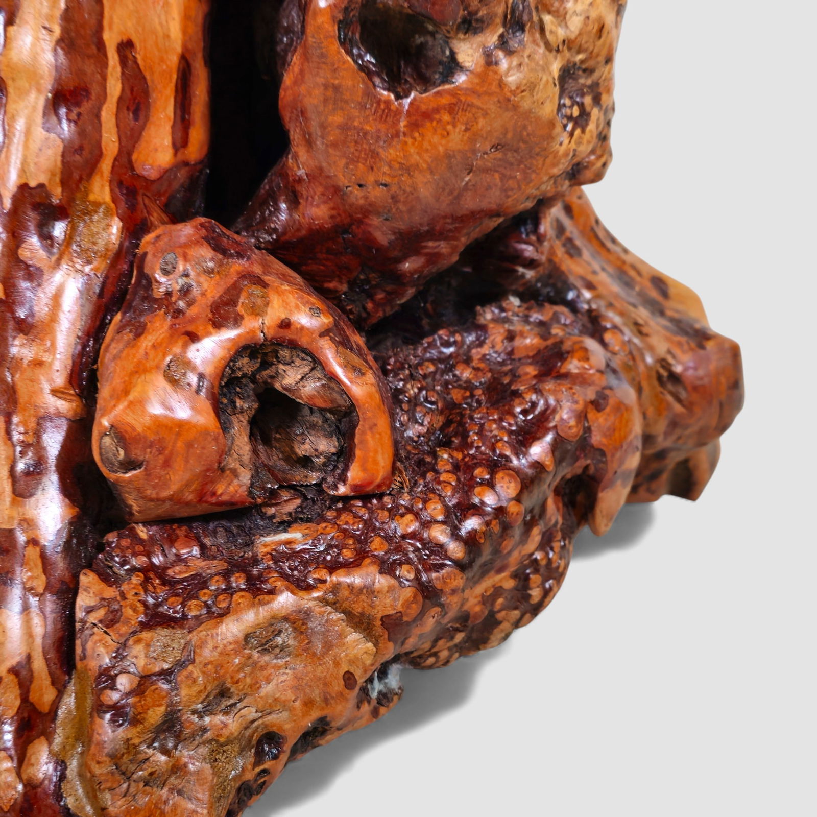 MCM Natural Root Carved Side Table - 7