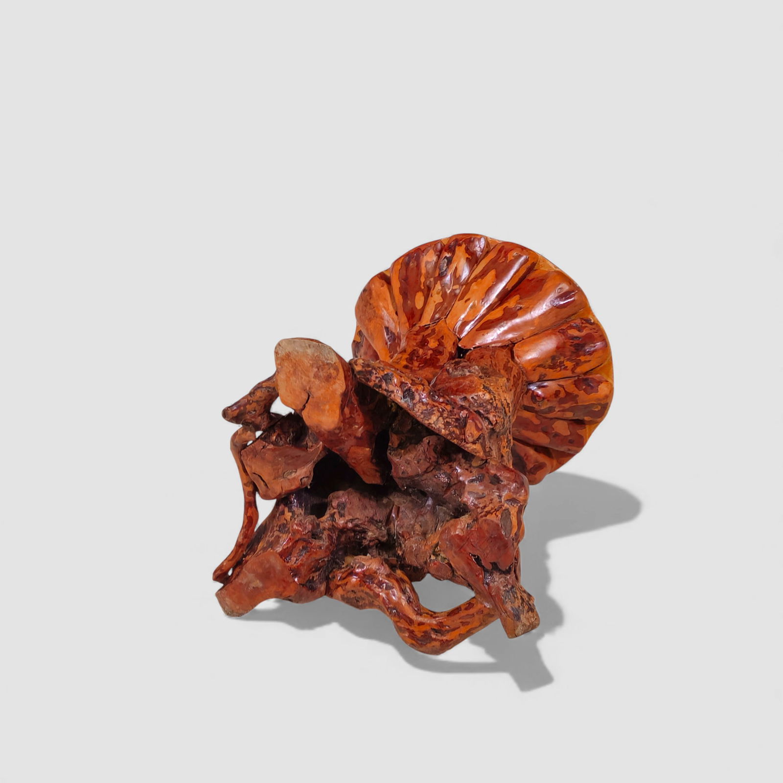 MCM Natural Root Carved Side Table - 8