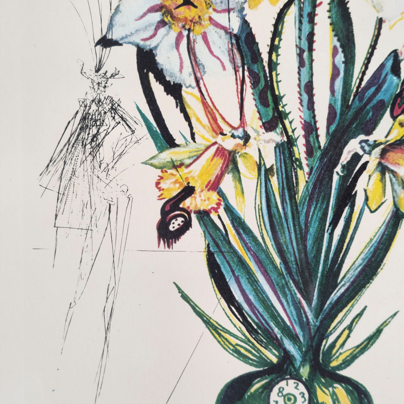 Salvador Dalí Lithograph - 5