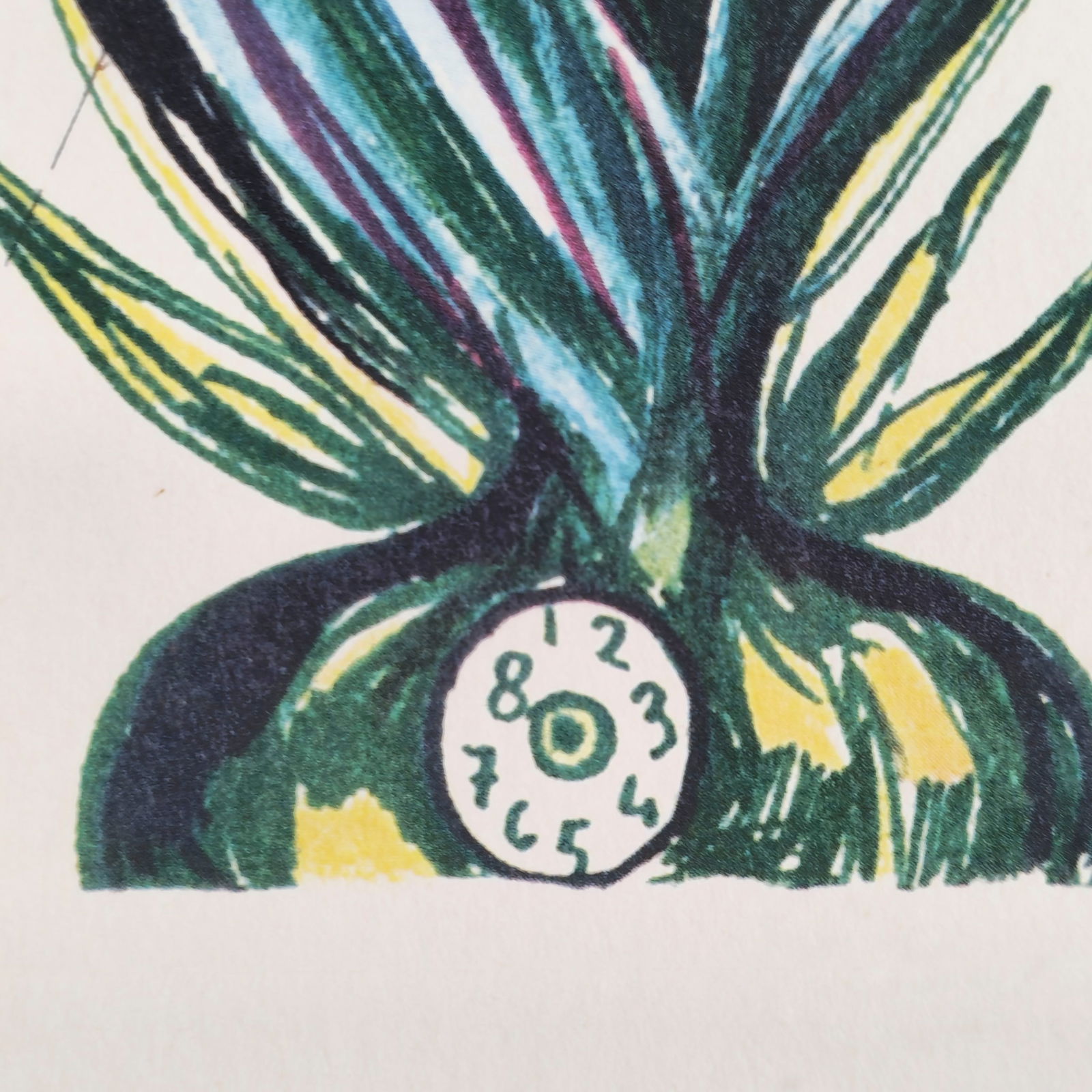 Salvador Dalí Lithograph - 6