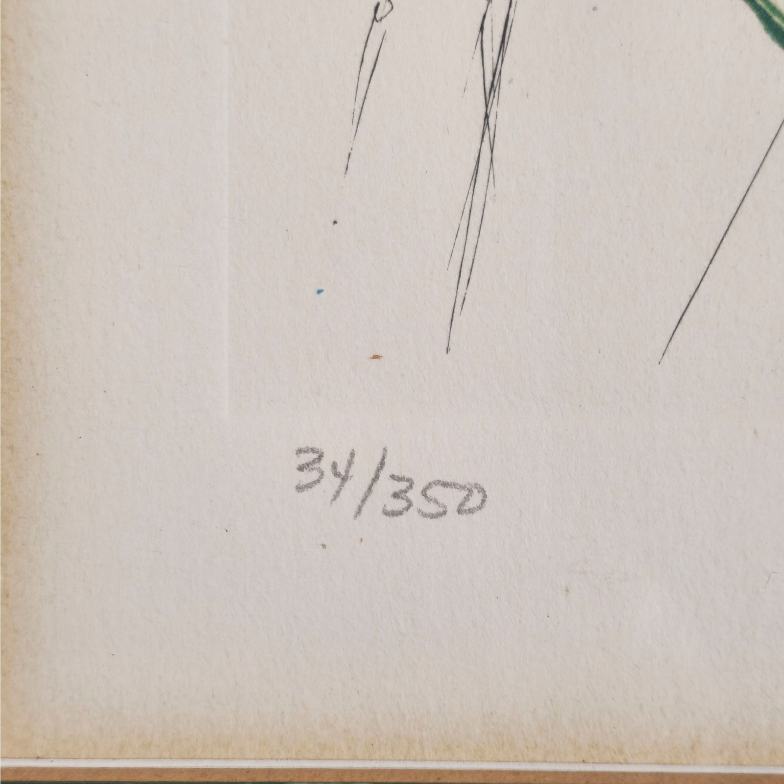 Salvador Dalí Lithograph - 9