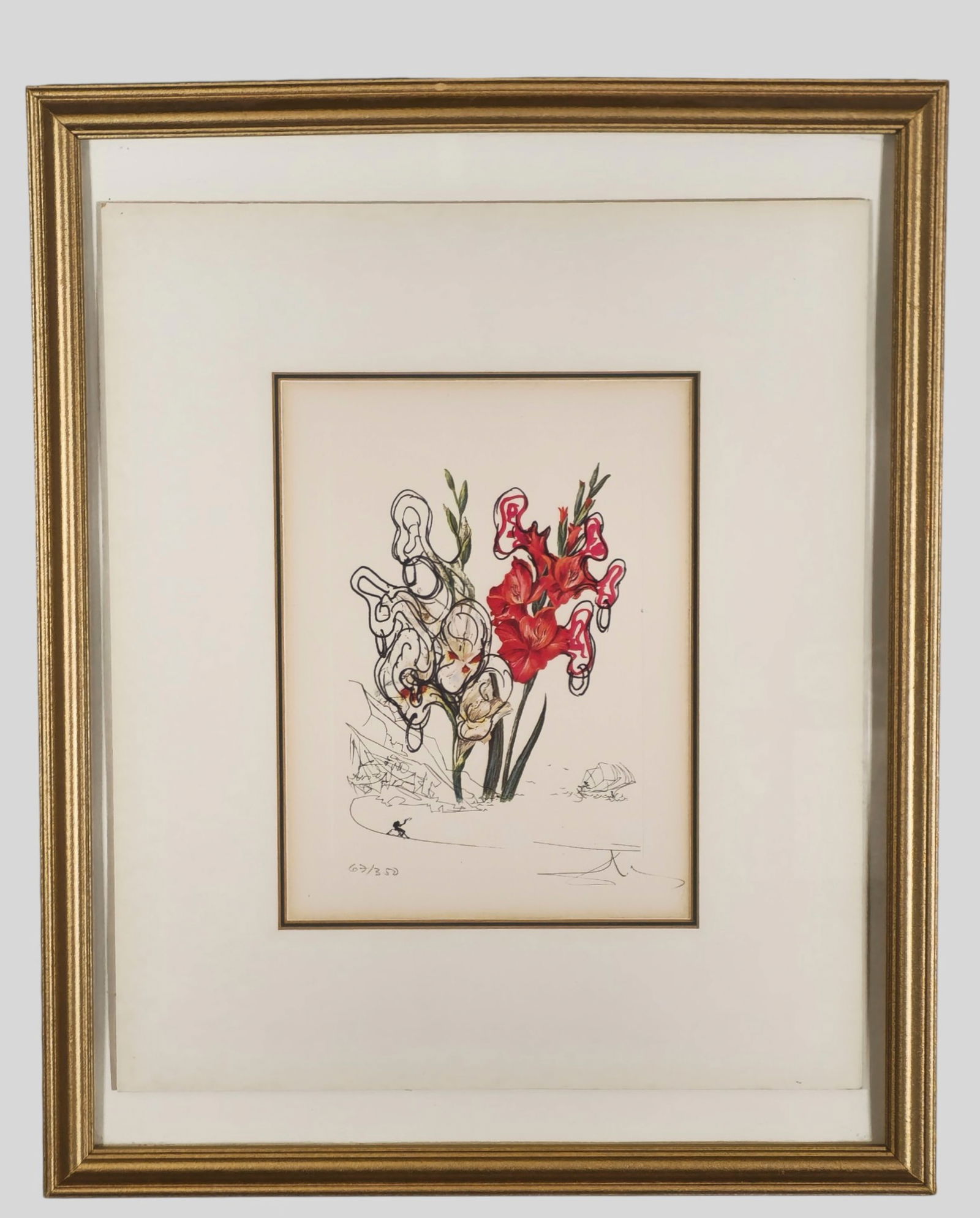Salvador Dalí Print: Salvador Dalí Print. "Gladiolus Cum Aurium Corymbo ExpentantiumImage". Signed and numbered 62/350 in pencil lower margin. Image Size- 8 1/4 x 5 Frame- 21 3/4 x 17 1/2
