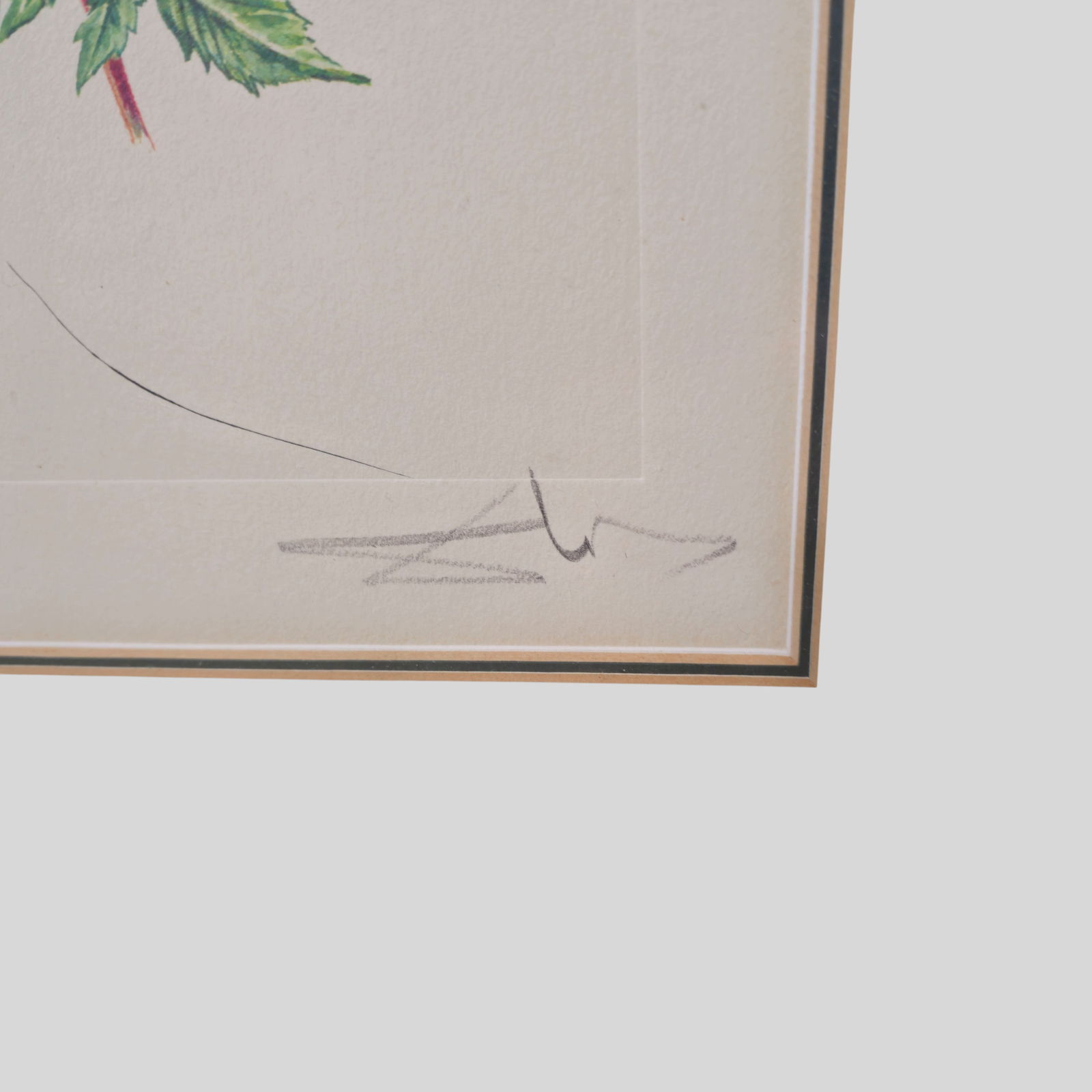 Salvador Dali Lithograph - 4