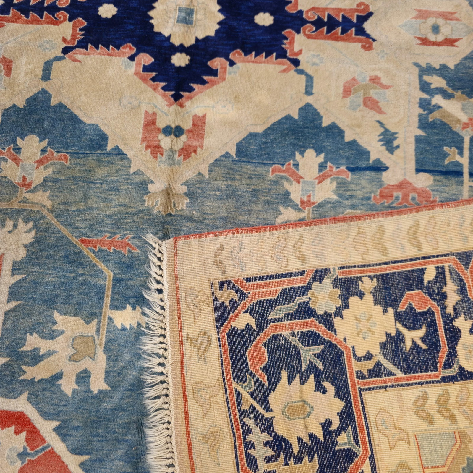 Contemporary Serapi Area Rug - 6