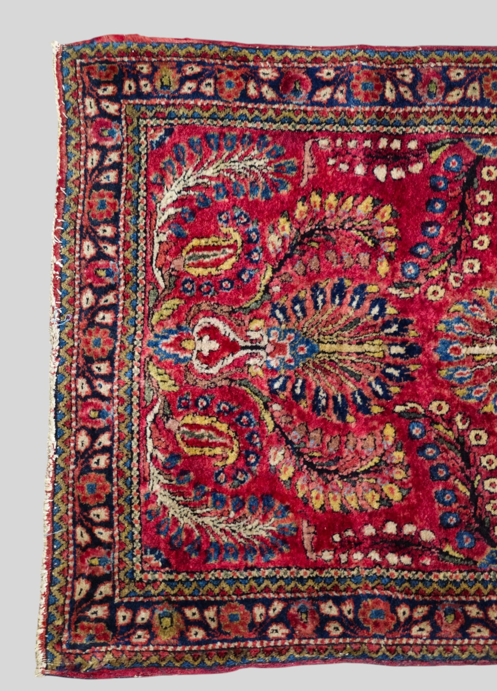Sarouk Area Rug - 2