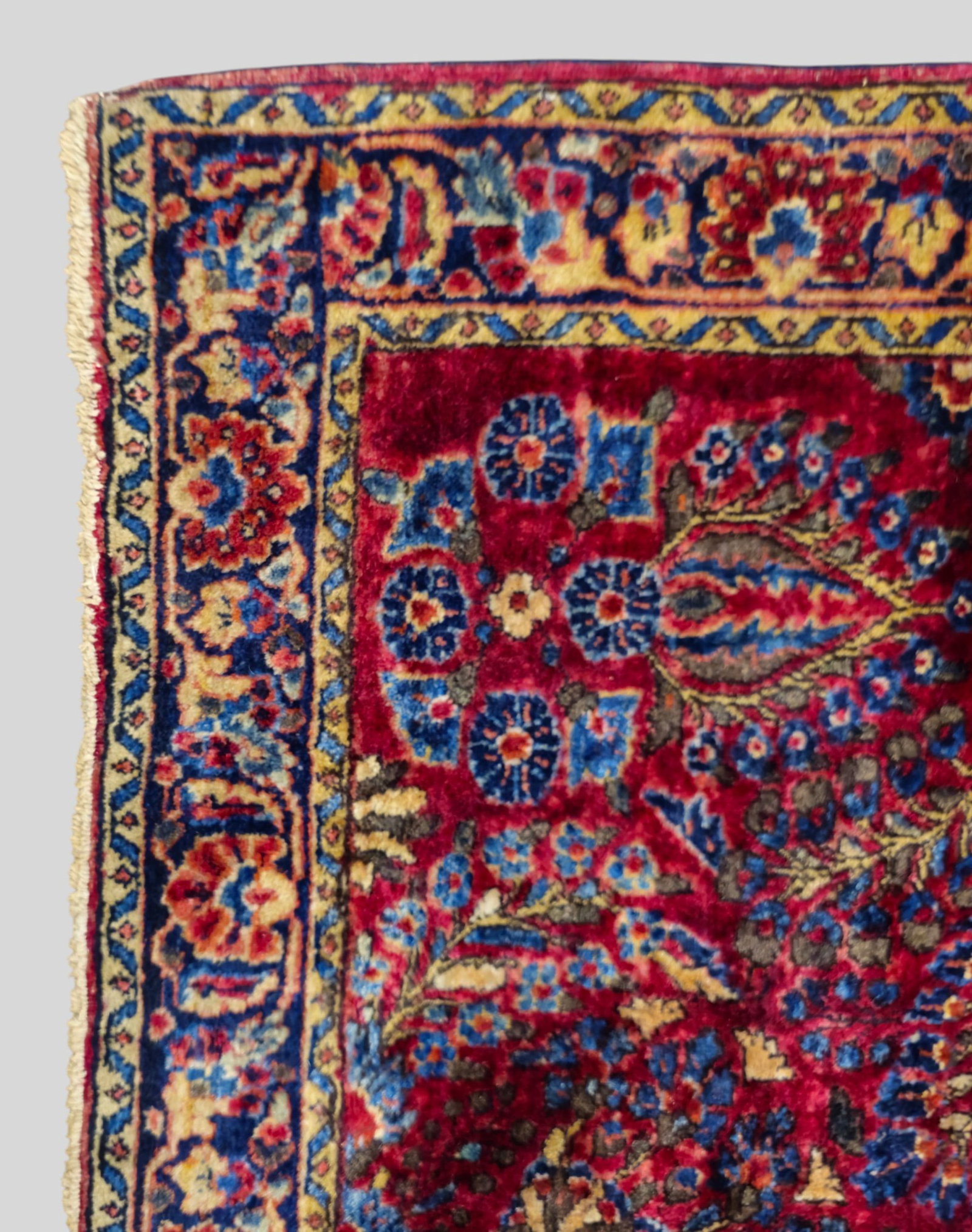 Sarouk Area Rug - 2