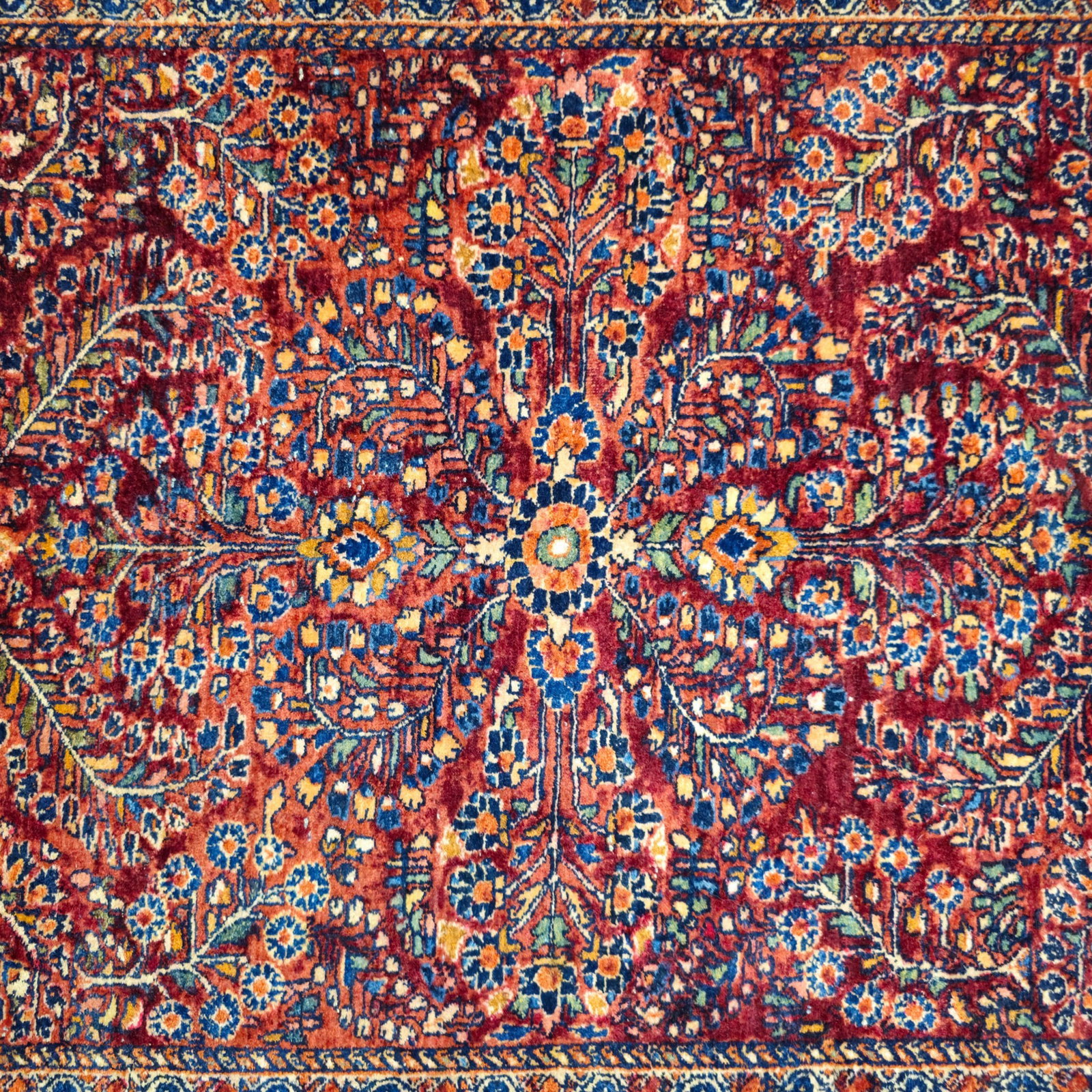 Sarouk Area Rug - 3