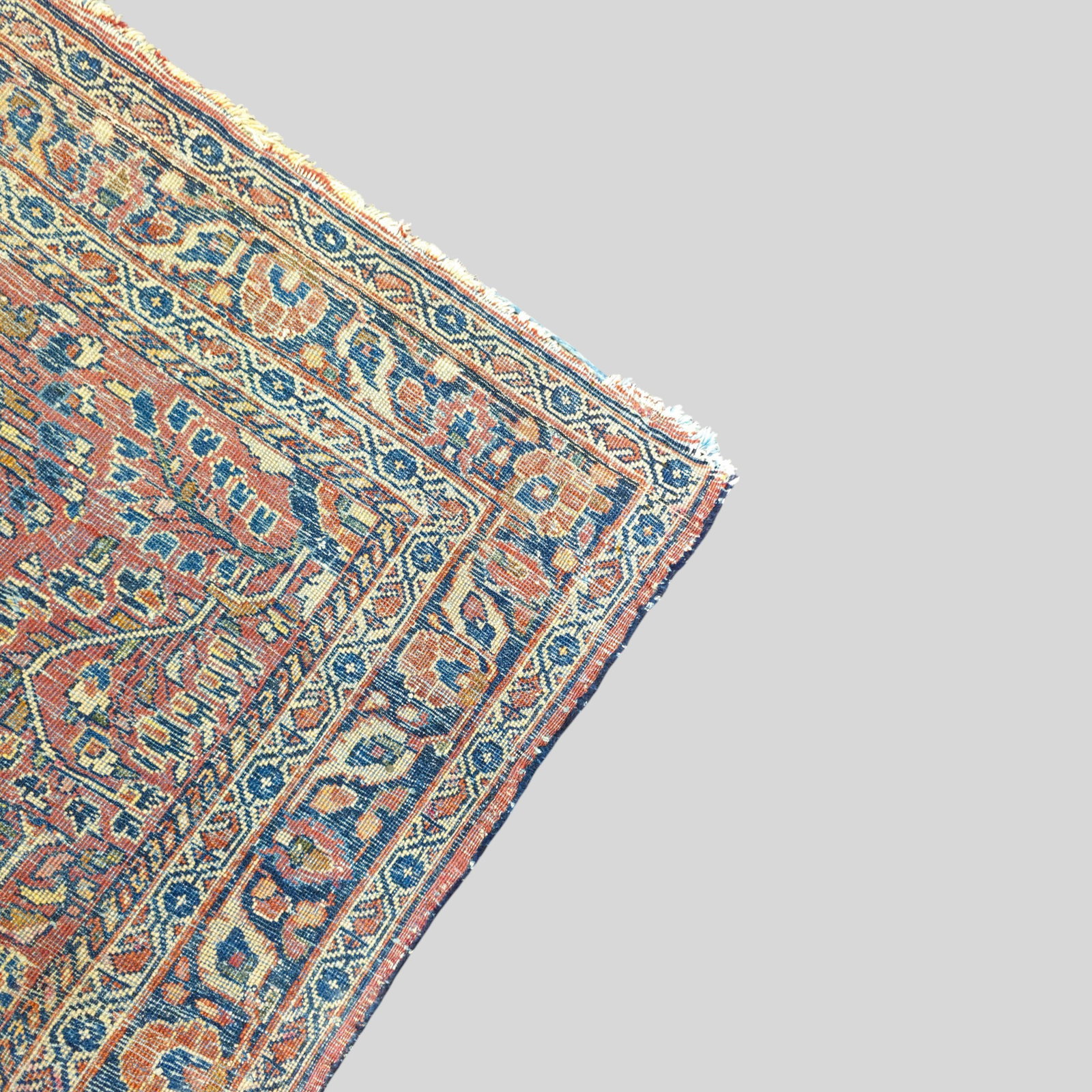 Sarouk Area Rug - 5