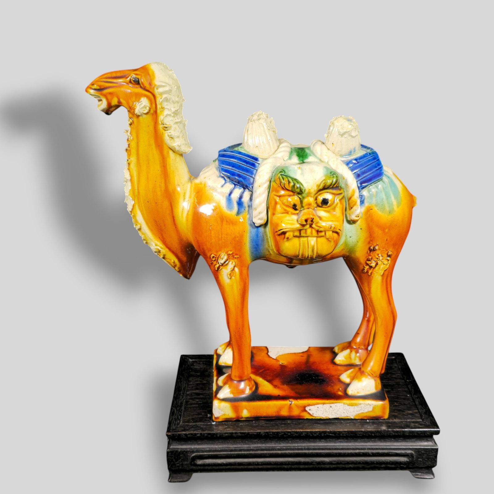 Chinese Tang Dynasty Porcelain Camel (1 of 12)