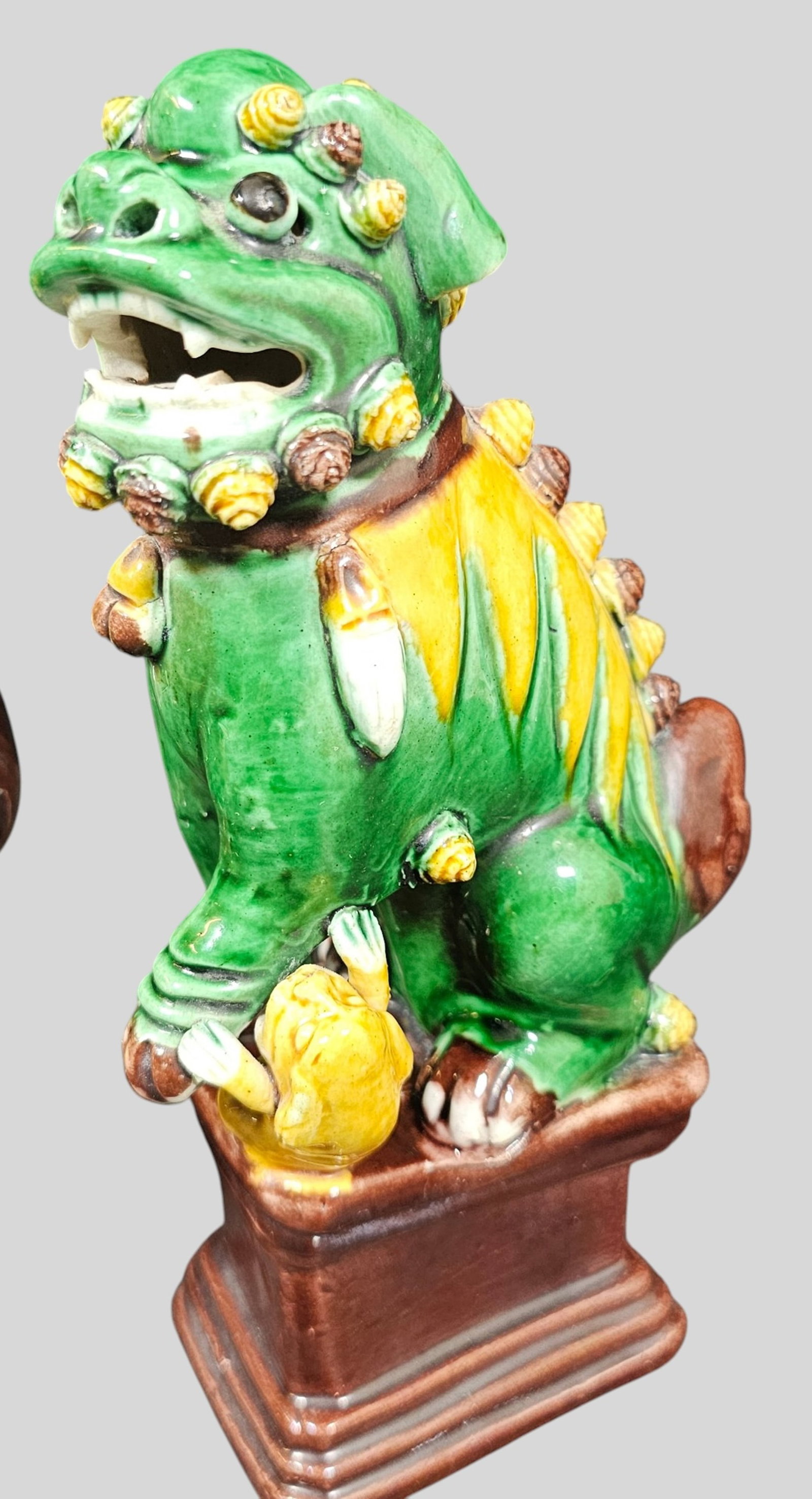 Chinese Porcelain Foo Dogs - 2