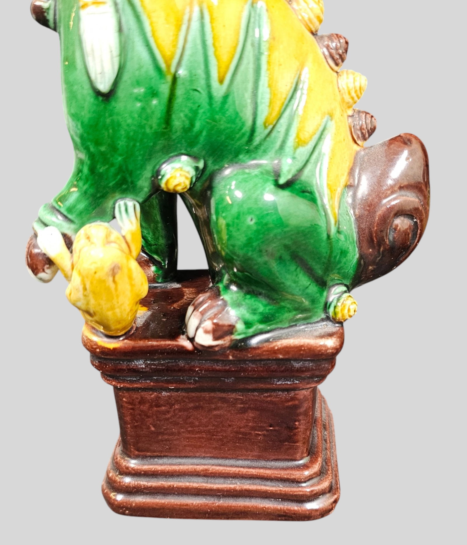 Chinese Porcelain Foo Dogs - 9