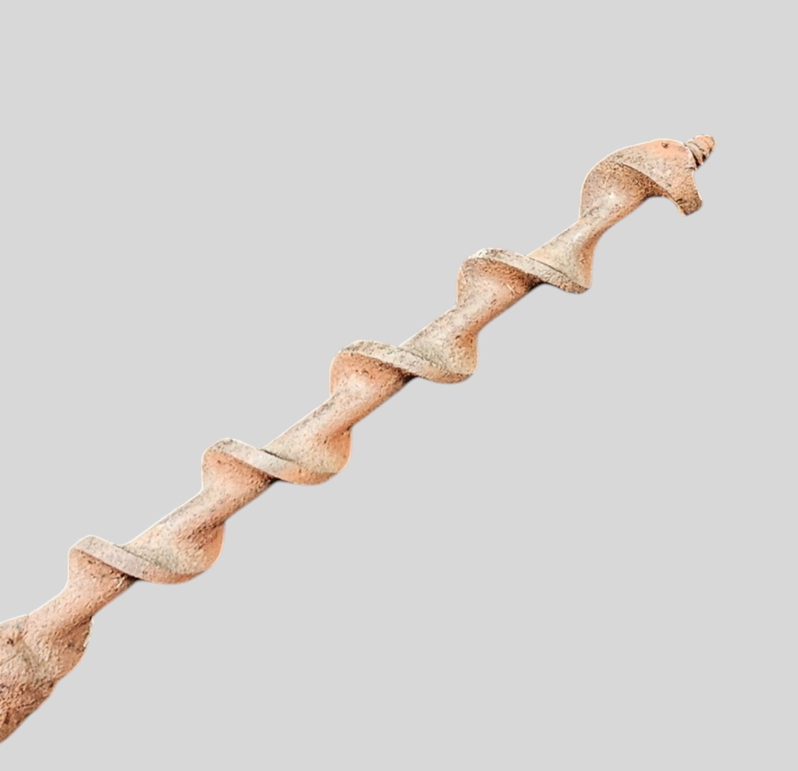 Handcrafted Prehistoric Creature Sculpture - 5