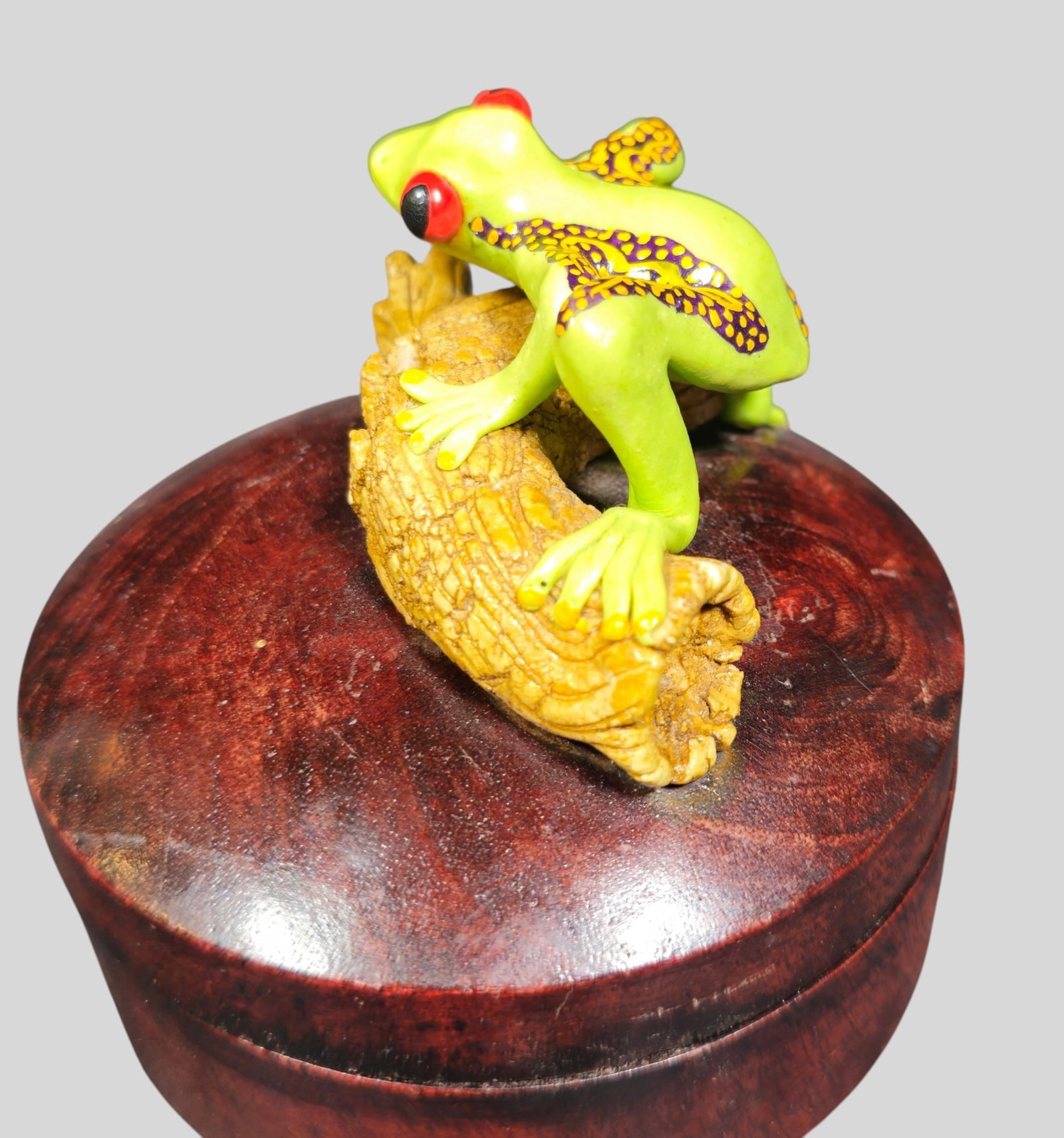 Red Eyed Tree Frog Lidded Box - 2