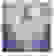 item-25725583=2