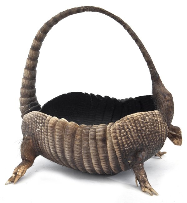 Armadillo Basket (1 of 9)