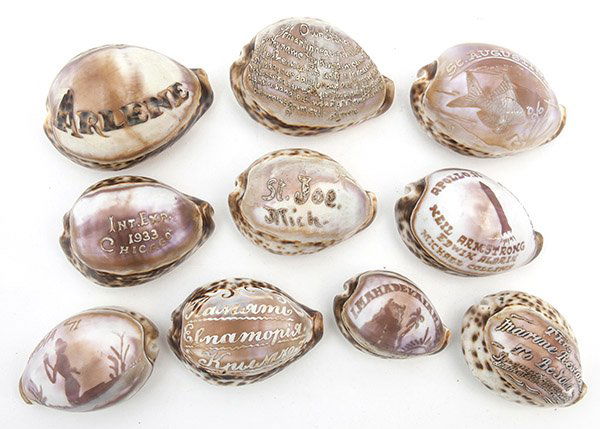 Lot of Souvenir Cameo Shells (1 of 5)
