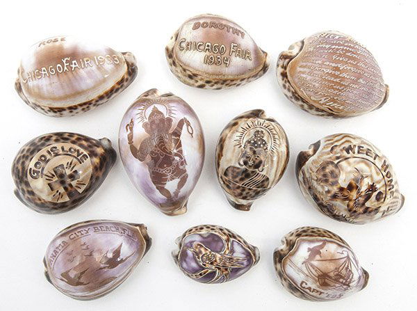 Lot of Souvenir Cameo Shells (1 of 6)
