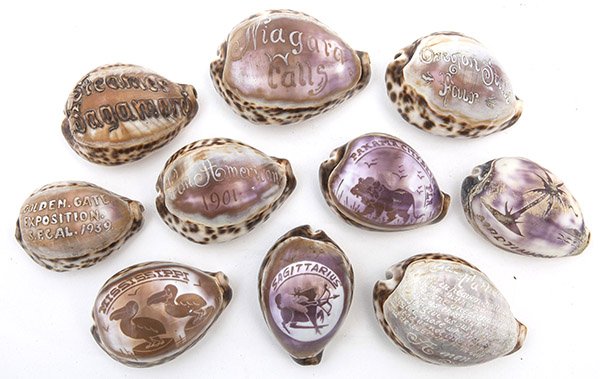 Lot of Souvenir Cameo Shells: Lot of 10, including the full text of the Lords Prayer; "Oregon State Fair"; "Steamer Sagamore"; "Pan American 1901"; "Golden Gate Exposition S.F. Cal. 1939"; "Martinique" with beach scene; "Niagara F