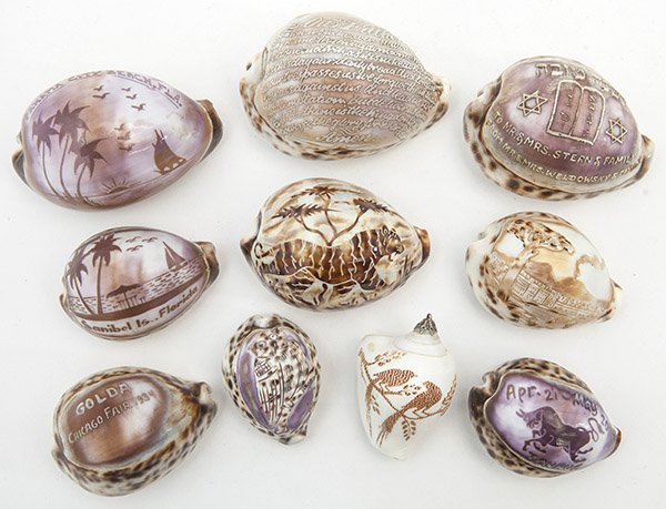 Lot of Souvenir Cameo Shells: lot of 10, including one with the Lords Prayer; one with bird of paradise; Jewish symbolism; one with tiger; owl, "Taurus"; "Palm City Beach, Fla." with sailboat and palm trees; "Sanibel Is. Florida" 