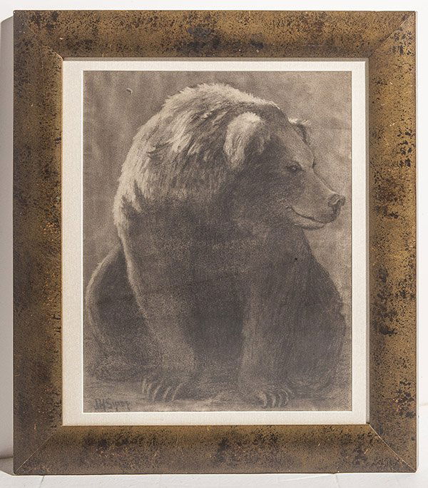 Joseph Henry Sharp (1859-1953): Charcoal of grizzly bear. Signed LL. Size 22 x 17 sight.