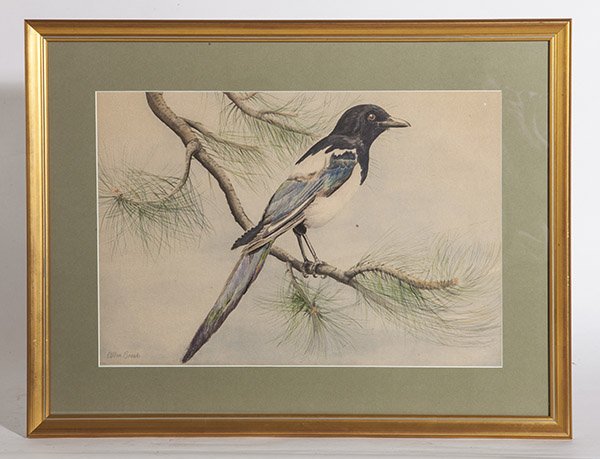 Allan Brooks Watercolor (1 of 8)