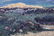 Michael Scott Oil - 3