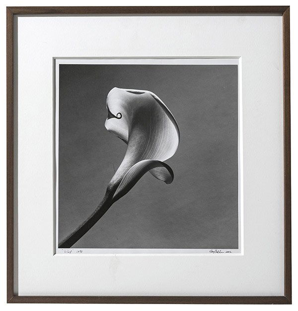 Ray Belcher (Born 1944), New Mexico, Photograph (1 of 7)