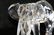52: Swarovski Crystal Elephant
