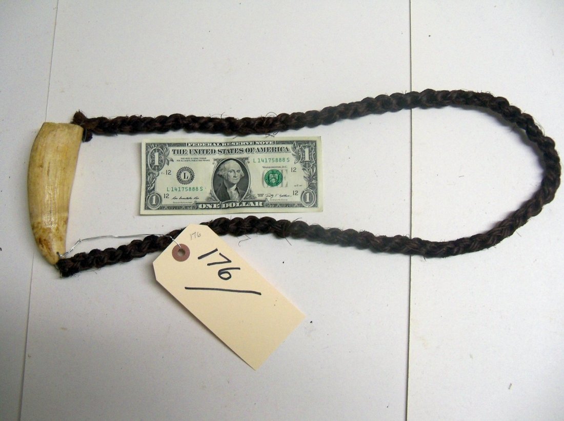 19th Century South Pacific Tabua Necklace from Fiji or: Tooth measures 4¾ long by 1½ inches wide, Braid is approx. 35 inches long in its entirety.