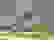 item-45096603=4