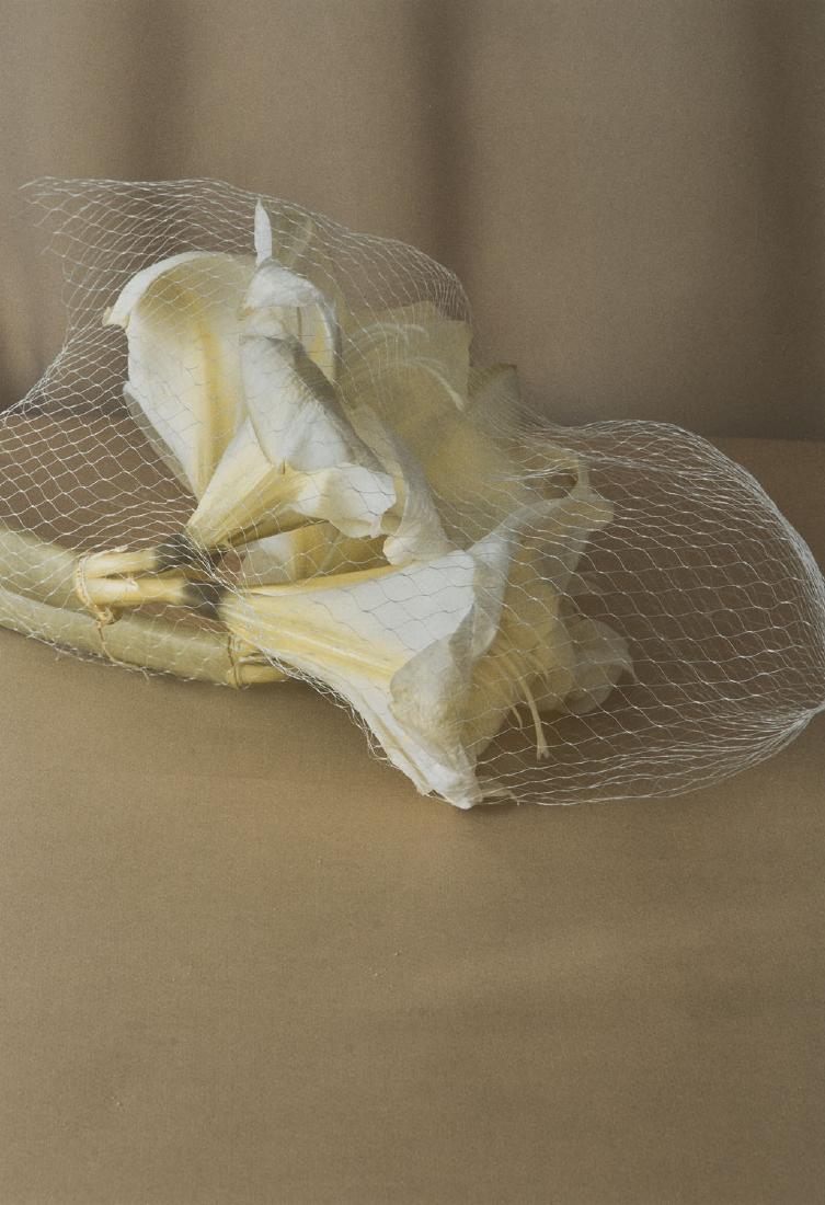Dominik Tarabanski (b. 1982) Extraordinary traces ed.: Dominik Tarabanski (b. 1982) Extraordinary traces ed. 6/25, 2016, pigment print on photography paper, 47 x 32 cm,