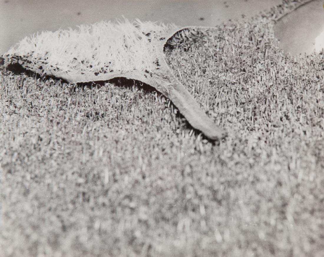 Teresa Murak (b. 1949), Viridity arrival, 1975: Teresa Murak (b. 1949) Viridity arrival, 1975; gelatin silver print, vintage print on Baryta paper, 17.7 x 22.2 cm; signed in pencil on the reverse: 'Przyjscie zieleni 1975 | Galeria Repassage Warszaw