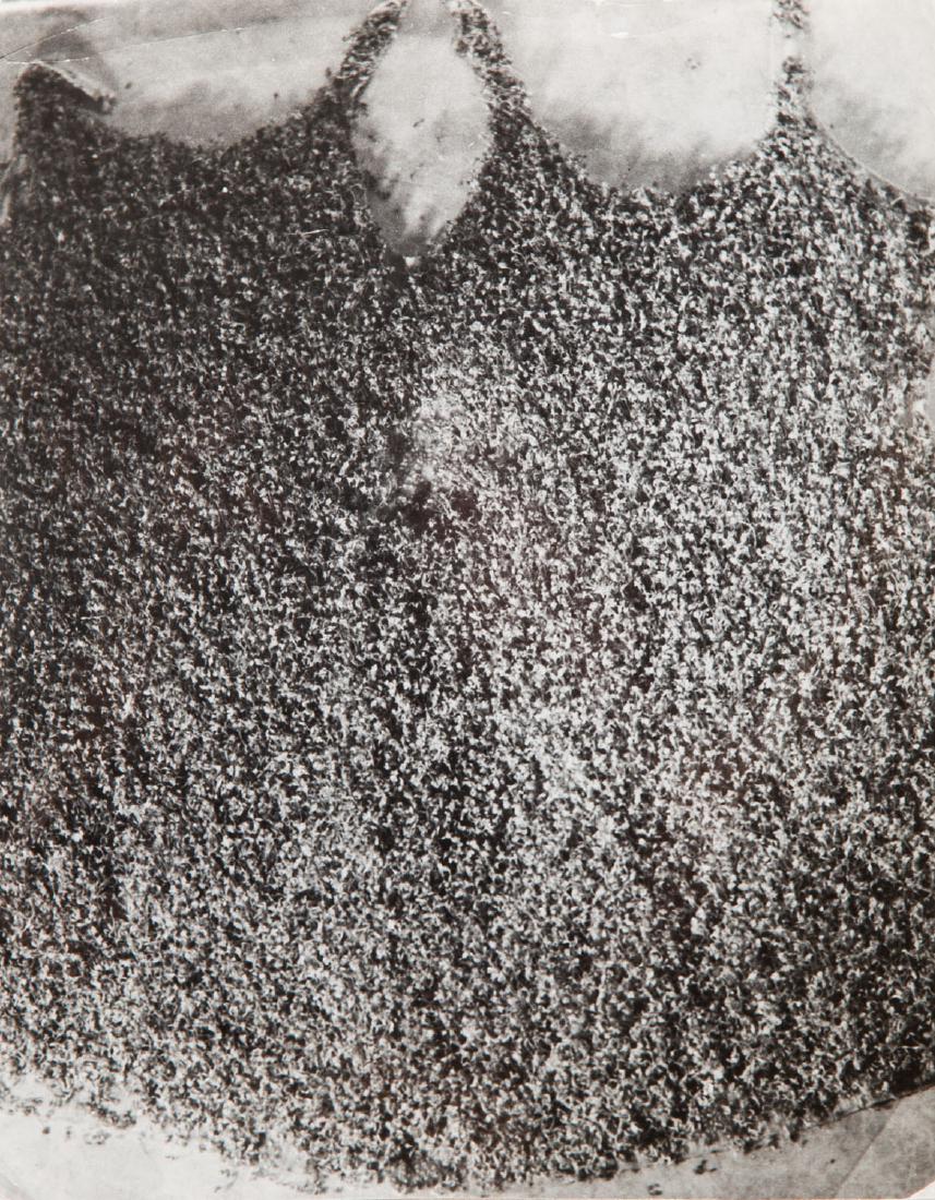 Teresa Murak (b. 1949), Viridity arrival, 1975: Teresa Murak (b. 1949) Viridity arrival, 1975; gelatin silver print, vintage print on Baryta paper, 23.2 x 18.4 cm; signed in pencil on the reverse: 'TERESA MURAK | PRZYJSCIE ZIELENI 1975'