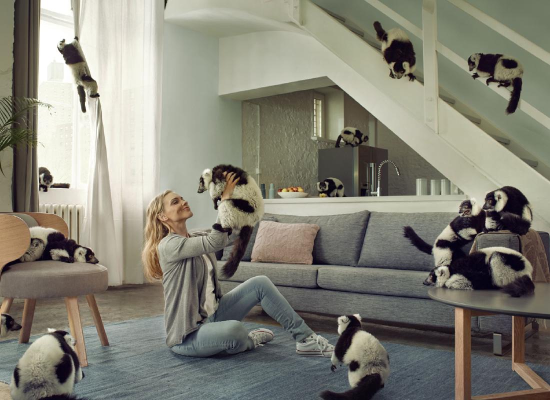 Kinga Baranowska (fot. Jan Kriwol) Have a herd of (1 of 1)