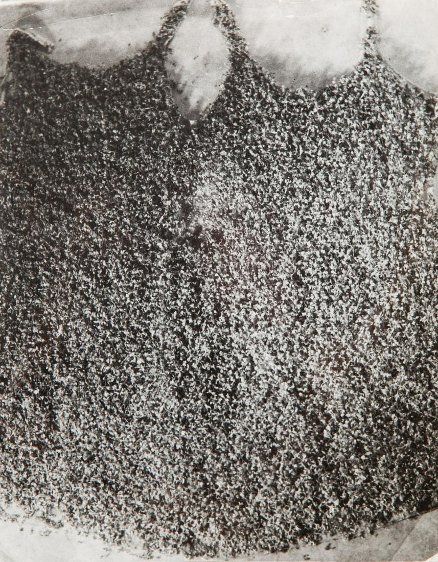 Teresa Murak b. 1949) "The coming of green", 1975,: Teresa Murak b. 1949) "The coming of green", 1975, gelatin-silver print, vintage print/baryta paper, 23.2 x 18.4 cm signed, dated and described in pencil on the reverse: 'TERESA MURAK | PRZYJSCIE ZIEL