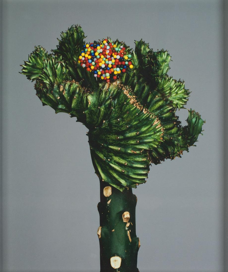 Pawel Bownik b. 1977) Z cyklu: "Dissasembly", 2013,: Pawel Bownik b. 1977) Z cyklu: "Dissasembly", 2013, pigment print/aluminium board, archival paper, 60 x 50 cm signed, dated, numbered and described on the reverse: 'DISASSEMBLY | 2AP + 4/8/2013 | Bown