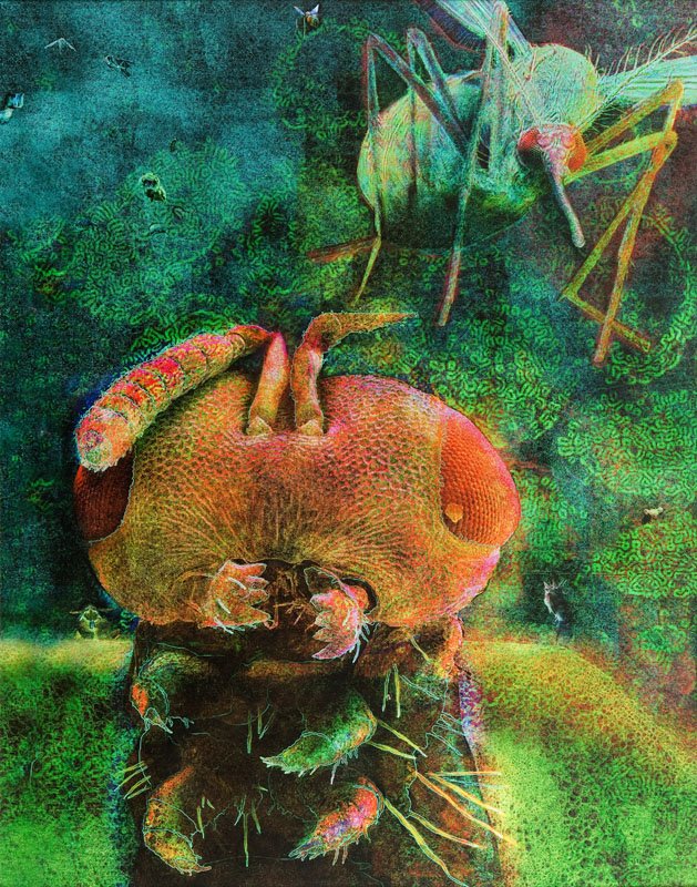 Dagmara Cieslica, (b. 1989), Habitat, ed. 2/5, 2014,: Dagmara Cieslica, (b. 1989), Habitat, ed. 2/5, 2014, print/papier, 110 x 87 cm, signed