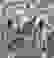 item-55212121=2