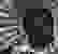 item-55212121=3