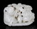 Qing Dynasty White Jade Carved Two Boys in Boat