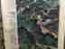 item-42919210=4