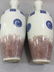 Pair of Chinese Blue/White Copper Red Vase - 5