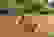 item-49101658=6