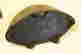 item-49101790=10