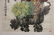 Chinese Painting of Su Bao Zhen - 3