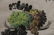 Chinese Painting of Su Bao Zhen - 4