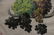 Chinese Painting of Su Bao Zhen - 5