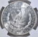 1881-S MORGAN DOLLAR NGC MS-66 CAC NICE COLOR - 3